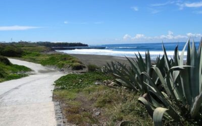 Saint-Pierre entre canne et océan – La Saga du Rhum en finale